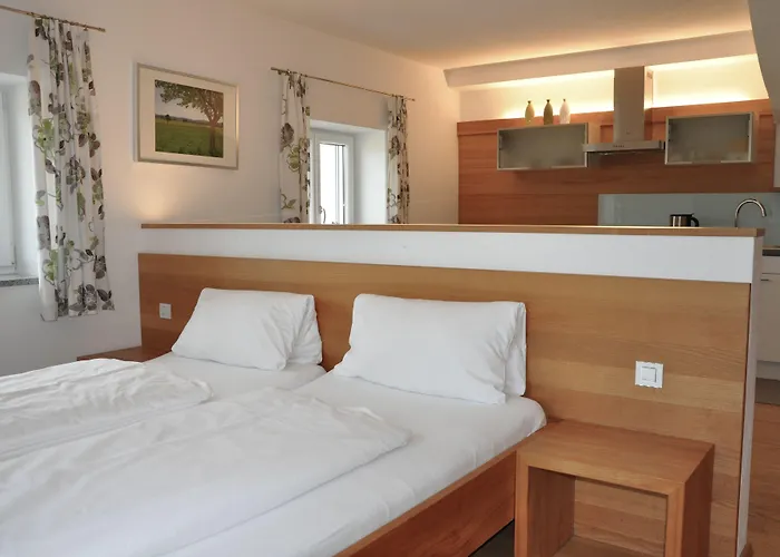 Ξενοδοχείο Oelerhof Haag am Hausruck